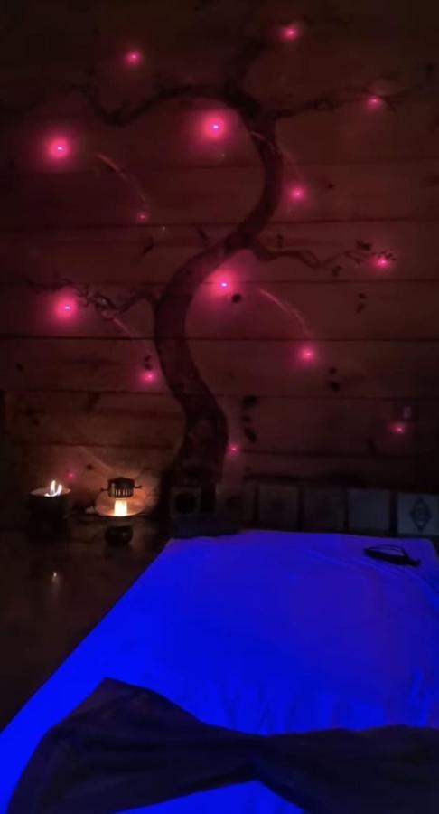 אובטובה Clorofila House Glamping Naturista מראה חיצוני תמונה
